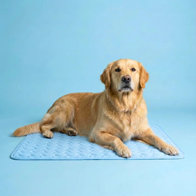 Elavo Cooling Pad
