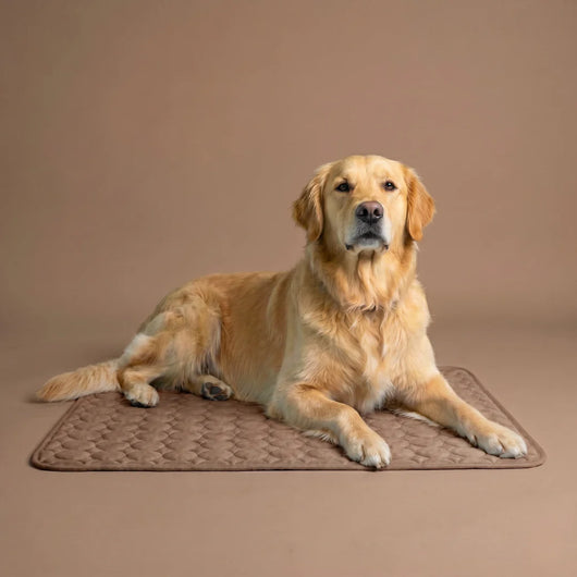 Elavo Cooling Pad