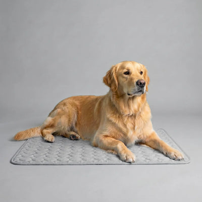 Elavo Cooling Pad