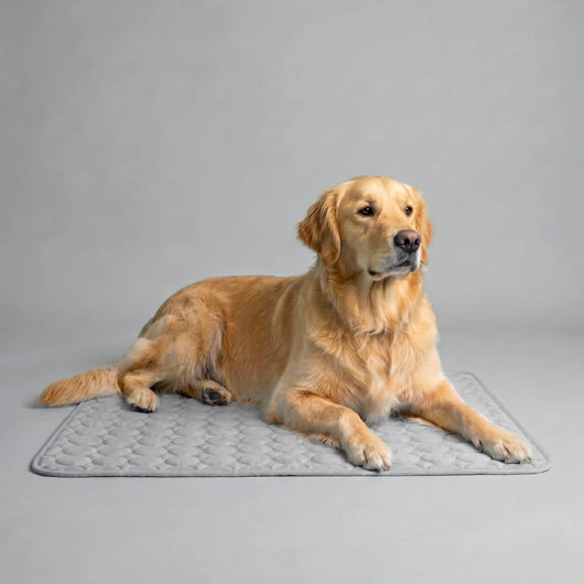 Elavo Cooling Pad